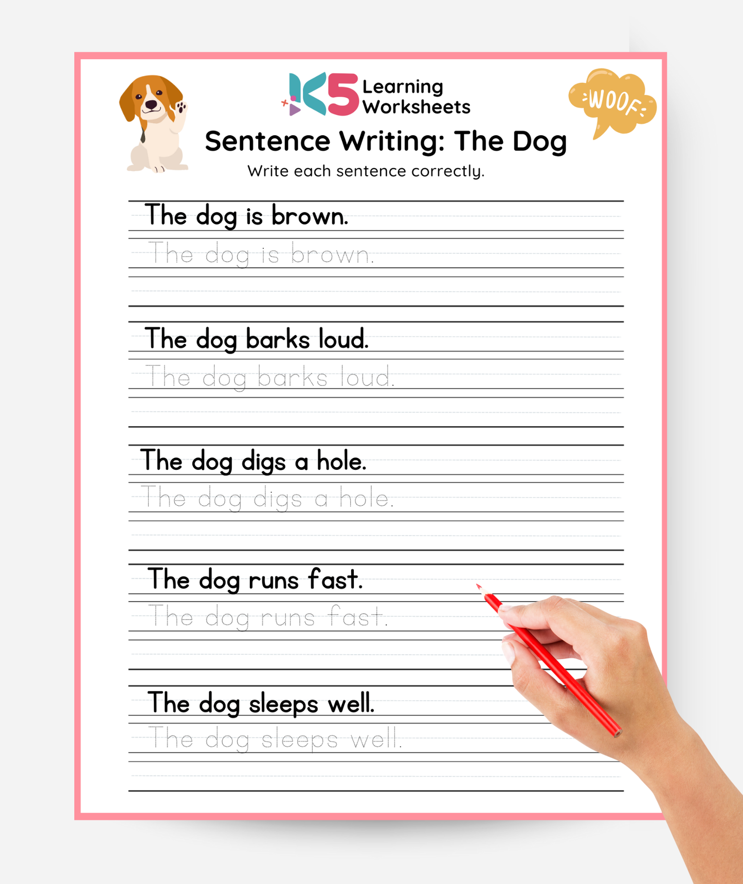 Sentence Writing Worksheet
